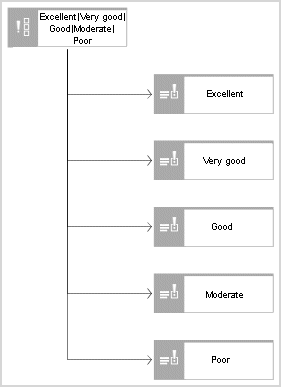 Option set (Questionnaire template diagram)